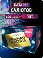 Важная персона